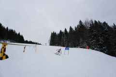 LMSki10_kl