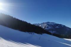 IMG_20230214_105007_kl