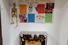 Bild-4