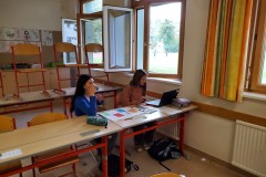 Bild-6