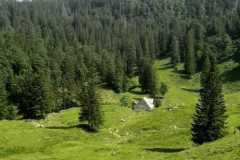 IMG-20240621-WA0000