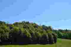 image001