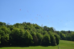 image001