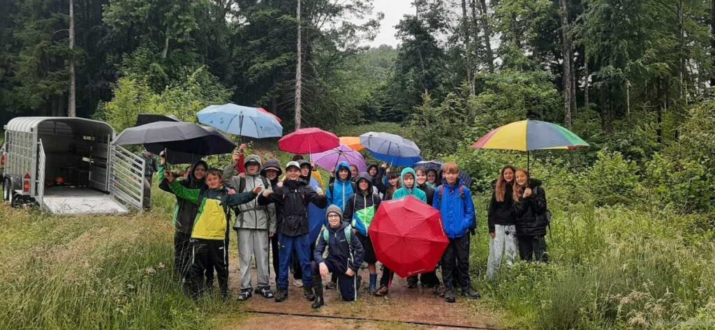 Waldjugendspiele 2026 in Gresten